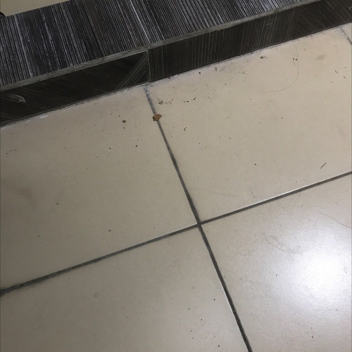 dùng rất ổn, chất lượng thì chờ thời gian kiểm chứng. Dễ bám mồ hôi tay