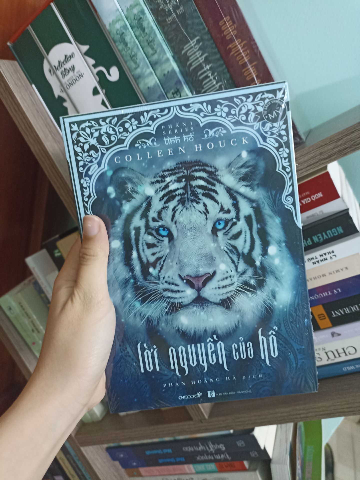 săn sale giá tốt, bia xinh xỉu, ai mê fantasy phiêu lưu thì không nên bỏ qua series này, tiki giao nhanh,  sách nguyên seal mới tinh ❤️