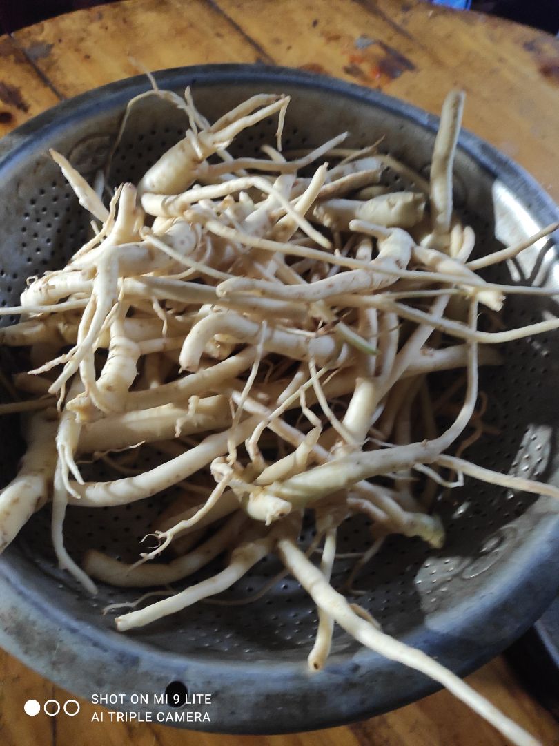 đẹp quá thanks shop sống khỏe tốt quá van chuyển cũng nhanh