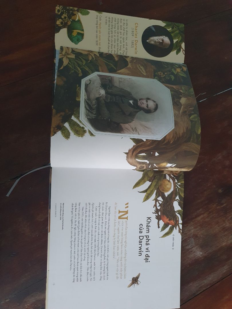 Sách đẹp mê li, giao hàng nhanh, sách bìa cứng nhé mọi người!