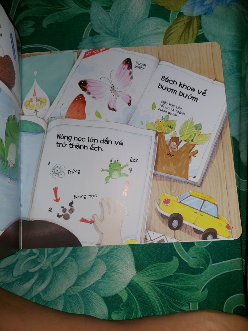 ngôn từ gần gũi nhưng không quá nhạy cảm phù hợp với các bé mẫu giáo từ 3 tuổi. cha mẹ nên đọc vì có lúc mình sẽ đối diện với câu hỏi từ con "Bố mẹ ơi, con từ đâu tới?"