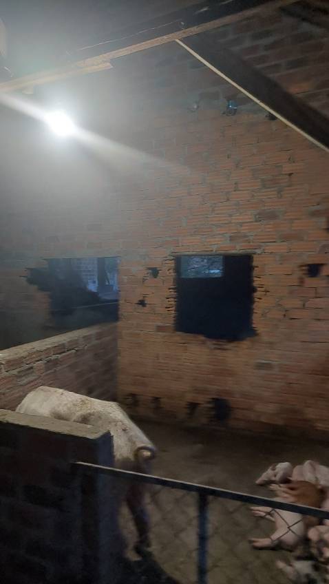 K có ánh sáng trắng, đã điều chỉnh lên mức 100% vẫn 1 màu ánh sáng vàng, cungz thử từ 1% tới 100%. Shop cho đổi bóng khác đi