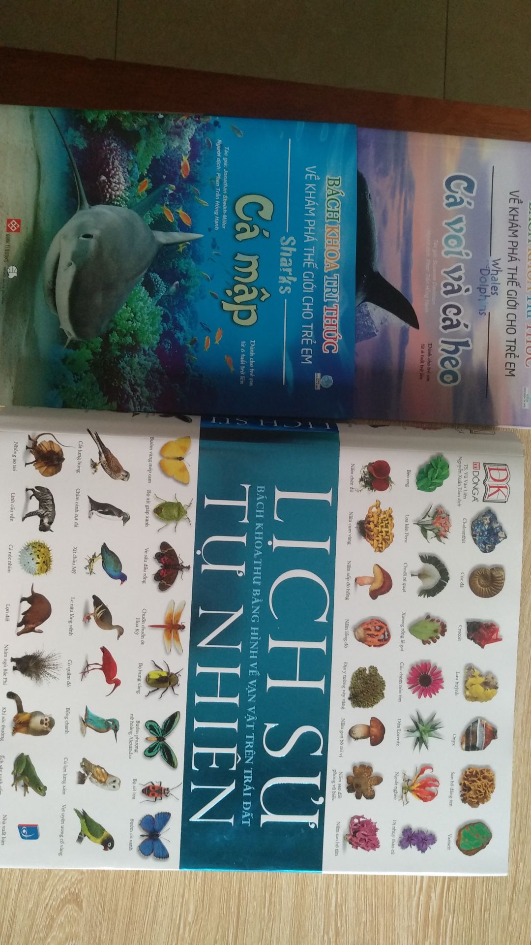 Đây là cuốn sách tuyệt vời. có nhiều thông tin bổ ích, viết khoa học. nhưng theo mình không nên để từ "Lịch sử" vì nó mang tính nêu ra, thống kê, đưa thông tin không phải chương nào cũng theo dòng thời gian. mình thấy nó giống Đại Cương về tự nhiên hơn là lịch sử tự nhiên.