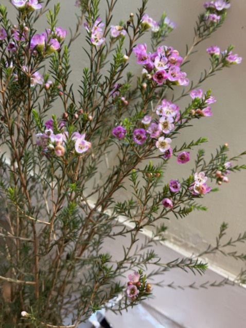 sản phẩm dùng tốt, nhiều bọt và rất dôi