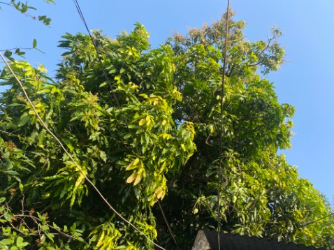Tốt. Giao nhanh Tốt. Giao nhanh