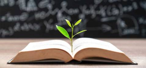 Nội dung hấp dẫn, lôi cuốn
Chất lượng sách đẹp, giấy tốt, in ấn chất lượng 
Nên mua.