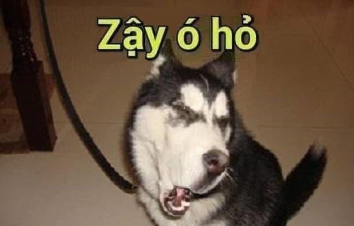 Đã qua tuổi học sách này nên săn sách để tặng em, giao hàng nhanh. Nội dung ok