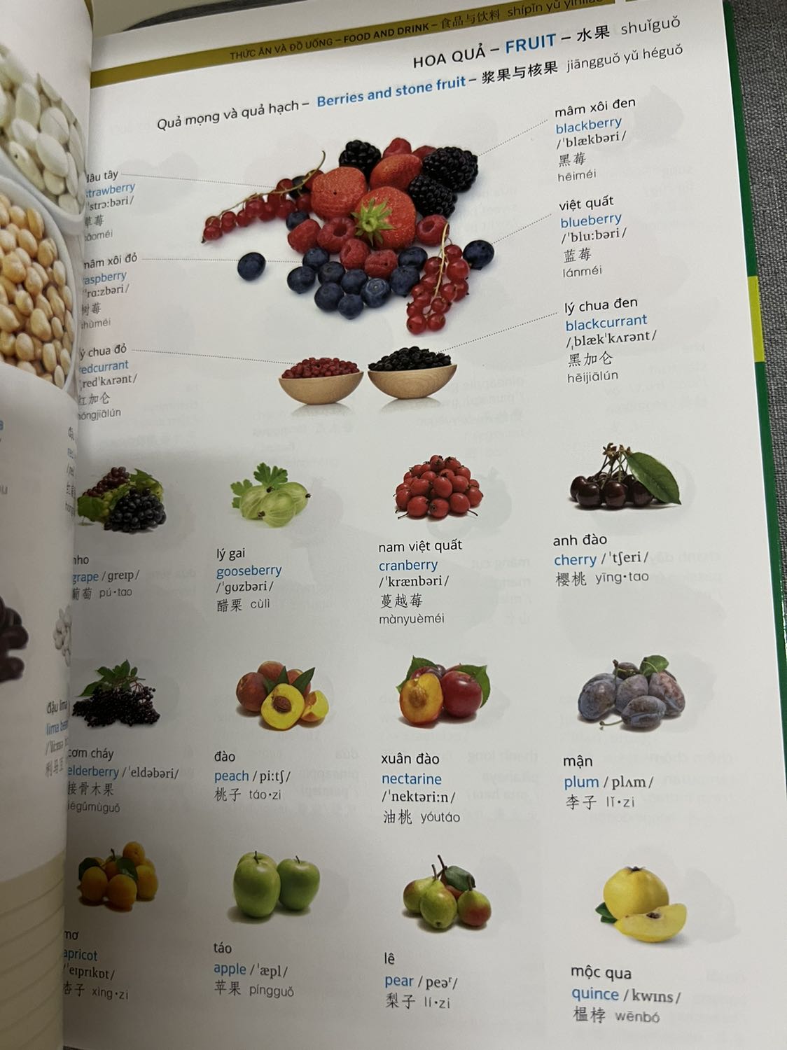 Quyển sách này rất tuyệt vời!
Nội dung quyển sách gồm 1 lượng lớn vốn từ xoay quanh nhiều lĩnh vực trong đời sống và các chuyên ngành kết hợp cả 3 ngôn ngữ và tuyệt hơn nữa là hình ảnh minh hoạ trực quan, đẹp mắt và sát nghĩa (gần 500 trang in màu, nhiều thật sự!). Khổ giấy vừa tay cầm học và mang theo trong trong cặp, gáy sách đóng keo chắc chắn và tiện lật trang sách ra để trên bàn ngồi đọc. Có 2 chi tiết mình ưng ý nhất là các từ đều có phần phiên âm ở cả tiếng Trung và tiếng Anh (rất cần thiết); phần chữ tiếng Trung rất rõ nét hơn cả mong đợi của mình. Hơn thế nữa, nhà bán gửi mẫu giấy cảm ơn cùng lời nhắn rất thân thiện kèm đĩa luyện nghe và tài liệu. Cùng với đó, TIKI giao hàng sớm, quyển sách mới nguyên, chất lượng dịch vụ tốt.
Còn về phần hạn chế và sử dụng lâu dài thì có lẽ cần thời gian học đủ lâu và cần người am hiểu hơn mới nhận xét cụ thể được.
Xin cảm ơn đã mang đến cho mình quyển sách này!