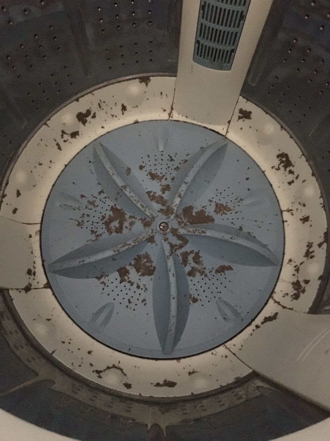 Tẩy chất bẩn ra ok nhưng sau khi vắt nước hết chất bẩn bám đầy dưới lòng giặt, chắc mình mua viên nén tẩy lồng giặt của Thái lại xài thế mà tốt hơn