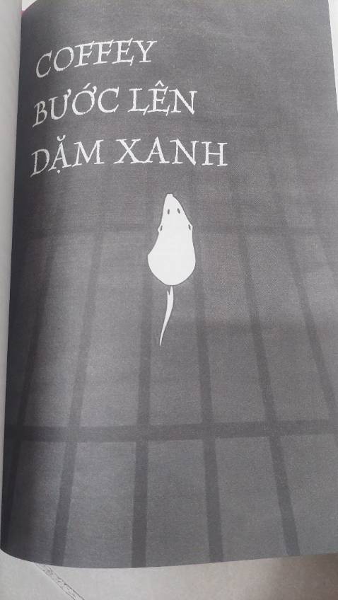 Xứng đáng 5 sao.
Dù có nhiều ngôn từ dung tục, những cảnh tượng man rợ hay đầy bạo lực. Vẫn phải thú nhận đây là một tác phẩm lôi cuốn mang nhiều tính nhân văn. Các thông điệp về về vấn nạn phân biệt chủng tộc, về cái thiện, cái ác hiện diện xuyên suốt.
Dặm xanh đâu chỉ cho ta thấy địa ngục nơi trần thế nơi có các tử tù và các vị tử thần. Dặm xanh cho ta thấy phẩm giá nơi con người, giá trị của đức tin, lòng vị tha và công lý.