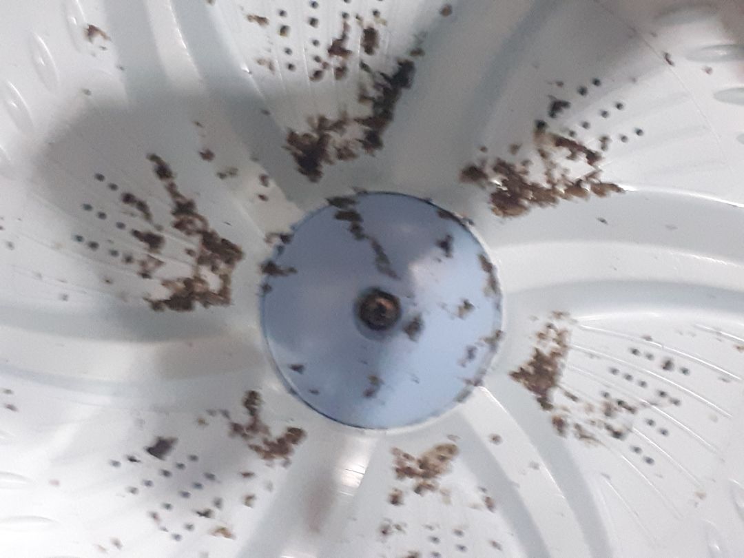 không biết có tẩy sạch được lồng giặt không  ? mà ngâm 2h, cho kq khá là dơ ! trước đây mình đã dùng loại bột tẩy của Hàn Quốc,  viên tẩy của Trung quốc, chưa khi nào  thấy dơ như vậy. Và mua đúng đợt sale 39k, quá ổn.