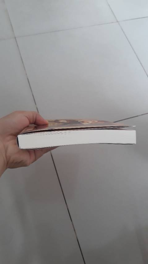 Bìa đẹp nhưng bức hình 2 người đứng ko nét so vs trong ảnh , giấy ở trong thì mới, đẹp, đều màu, không bị cong móp, ở sg giao nhanh trong ngày, nếu muốn có bọc nilong thì phải mua gói bookcare 
=> hài lòng.