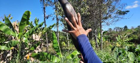 ok nhưng mà mới chia tay người yêu nen hơi buồn