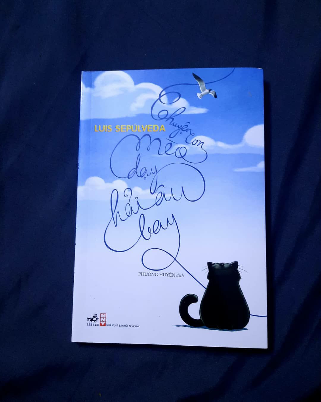 Tác giả đã hóa thân làm những con vật để kể một câu chuyện kết hợp với cuộc sống ở vùng ven biển. Mở đầu tác phẩm là câu chuyện riêng của từng nhân vật. Sau đó một sự vô tình cũng là cái duyên gắn kết để rồi tạo nên câu chuyện tưởng chừng như là đối nghịch. Vì một lời hứa của một cô chim mẹ mà mèo phải làm nhiệm vụ của một người mẹ để ấp trứng, bảo vệ hải âu con. Vì lời hứa sẽ dạy hải âu con bay mà mèo mẹ phải cùng đồng đội mình tìm cách để giúp hải âu con sống đúng với cuộc đời của một chú hải âu....