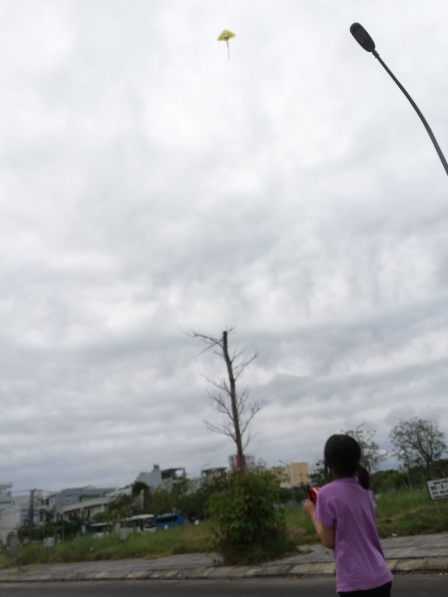 Loại diều này tương đối dễ bay. Hai loại diều này đều phù hợp với người mới bắt đầu. Chúng thường bắt tốt trong điều kiện gió nhẹ đến trung bình, khoảng 6 đến 15 dặm/ giờ.