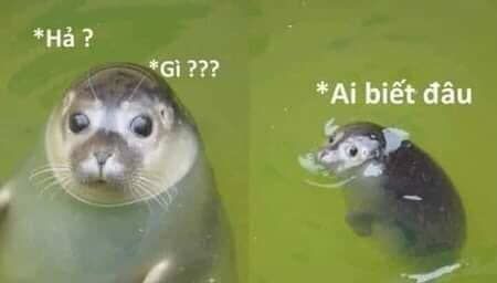 Một quyển sách quá dễ đọc nhưng vô cùng giá trị, cuốn sách này có thể đi với mình cả đời