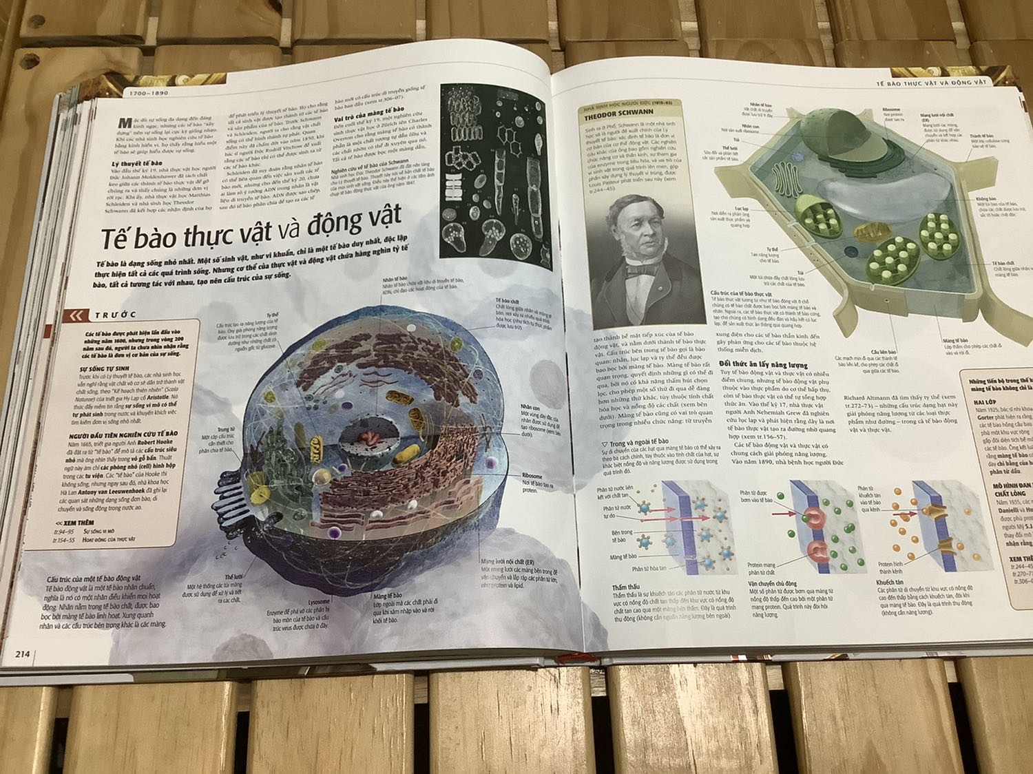 Sách vừa mới ra thì có giảm giá 50% rồi, một cuốn sách tuyệt vời. Sách dày ngang cuốn đại dương và dày hơn cuốn lịch sử khoa học, do cùng nói về khoa học và cùng của dk nên cuốn lịch sử khoa học và cuốn khoa học một số phần khá giống nhau.