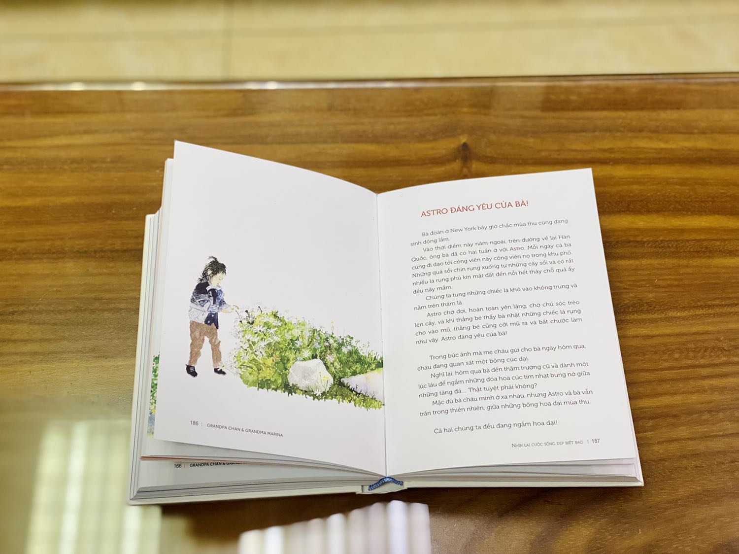 - Tiki giao hàng sớm hơn dự kiến. Phần đóng gói vẫn còn lỏng lẻo, hộp rỗng nhưng không có giấy chèn. Tuy nhiên  sách được bọc màng co phẳng phiu nên không bị hư hại gì. 
- Sách bìa cứng, khổ vừa, có áo bìa, được tặng kèm 1 bookmark như ảnh. Tên sách, tên tác giả và ảnh trên bìa in nổi rất đẹp mắt. Chất lượng giấy tốt và dày dặn. Sách in màu toàn bộ, hình minh họa đáng yêu. Nội dung sách là những câu chuyện dễ thương, tình cảm về các cháu được vẽ bởi ông bà Chan và Marina. 
- Giá mình mua không giảm nhiều so với giá bìa vì sách chỉ mới xuất bản vào tháng 05/2021. Nhìn chung mình cực kỳ hài lòng với chất lượng của sách cả về hình thức, nội dung và giá tiền.