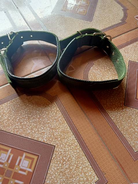 Rất tồi tệ mua màu đỏ gửi hàng màu xanh,nên quá to so với cún nhà mình,tặng shop 1*vậy là đúng với đơn hàng rồi