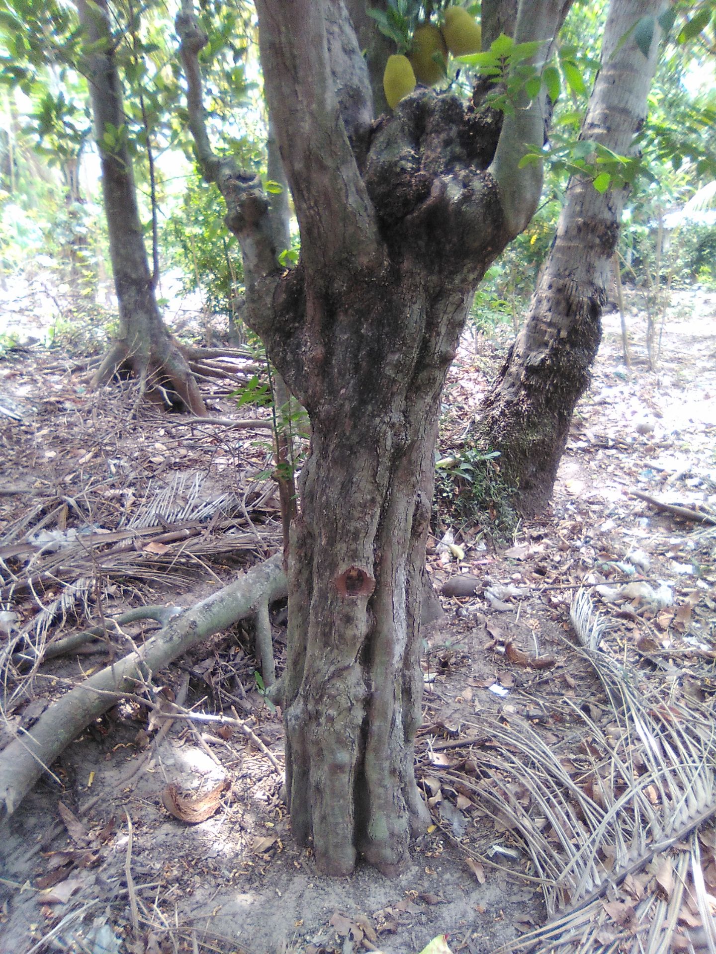 7eueijdhrhdhfhdhdhdjdj