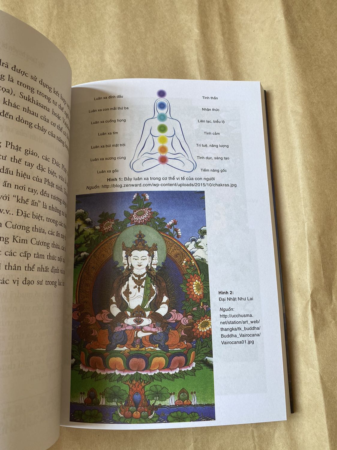 Sau khi đọc "Thiên Táng" của tác giả Hân Nhiên mình thấy rất tò mò về Tây Tạng. Kiểu phấn khích và mê vùng đất này cho dù chưa 1 lần đến đây. Vậy là mình có cơ duyên tìm hiểu và được giới thiệu cuốn "Tây Tạng Huyền Bí & Nghệ Thuật Sinh Tử" của tác giả Đặng Hoàng Xa. Càng đọc càng ngỡ ngàng vì nó thật sự rất hấp dẫn.  Ai yêu Tây Tạng chắc không thể bỏ qua được cuốn này rồi. Mình tiếp tục đi tìm thêm những cuốn sách khác viết về vùng đất huyền bí này để khám phá thêm. 

Sách còn có cả ảnh chụp về Tây Tạng về sự trải nghiệm chuyến đi đến đây của tác giả. Giấy in trắng rõ nét, mình dùng bút highlight ko hề bị in sang trang như 1 số loại giấy mỏng khác. 

Cực kỳ ưng ý ạ!