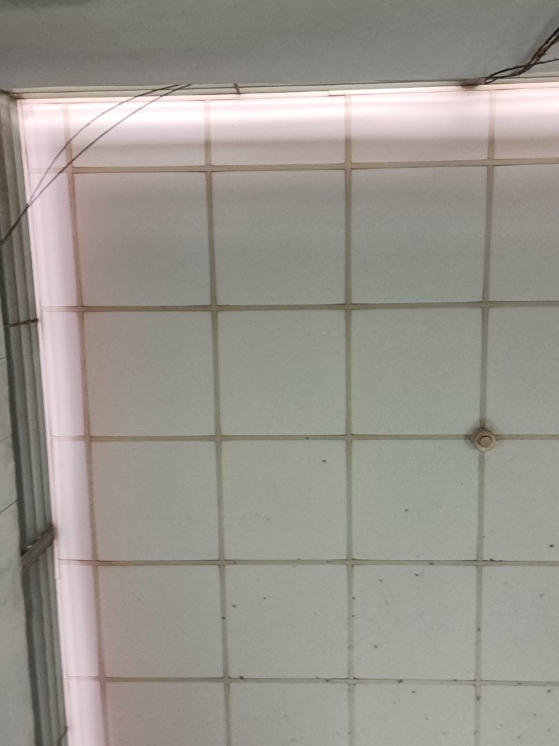 Hàng đóng gói cẩn thận, nhìn chất lương, xài xem sao rồi tiếp tục ủng hộ nhé 👍 Hàng đóng gói cẩn thận, nhìn chất lương, xài xem sao rồi tiếp tục ủng hộ nhé 👍