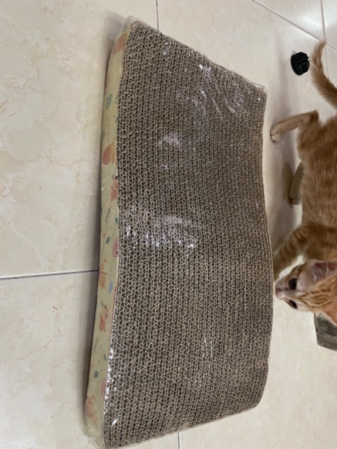 Shop xử lý đơn rất nhanh luôn 👍🏻
Đóng gói ổn, giá okay nữa
Tụi nhỏ nhà mình có vẻ thích thú món đồ chơi mới này 😆