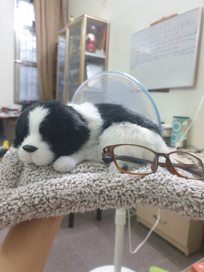 giao hàng nhanh, sản phẩm đẹp và chất lượng. Tưởng bé nhưng không hề, kích thước vừa vặn dùng trang trí xe hoặc phòng đều OK. Đáng mua mọi ngườì nhé!