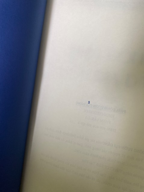 bìa sách bị trầy xước, tróc, sách bị dơ. Với lại mình thấy hình như là sách được bọc = màng bọc thực phẩm chứ kh phải seal sách bình thường???? Kh có chống sốc.