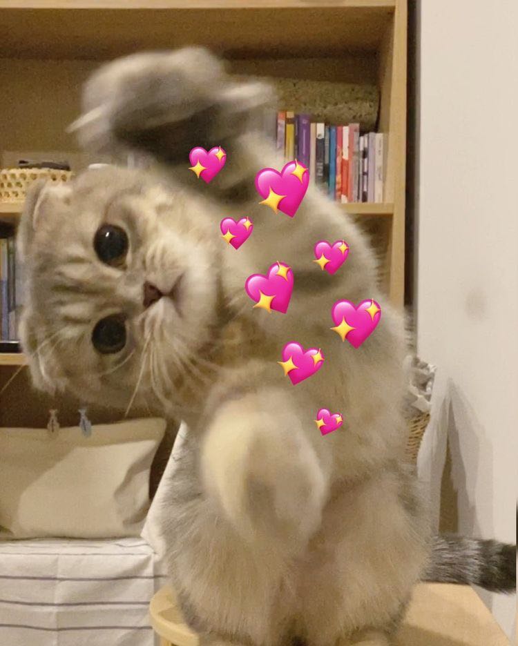 sp giao nhanh và dùng thấy ngon  đã mua đi mua lại nhiều lần Việc tìm hiểu và sử dụng các mỹ phẩm làm đẹp luôn được các nàng đặc biệt quan tâm. Để mang lại hiệu quả làm đẹp tốt nhất thì việc lựa chọn loại mỹ phẩm chất lượng trên Tiki luôn làm mình an tâm