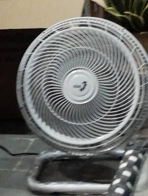 Gió mạnh, quạt chắc chắn, giao hàng rất nhanh, nhân viên vui vẻ nhiệt tình. Cho shop 5 sao.