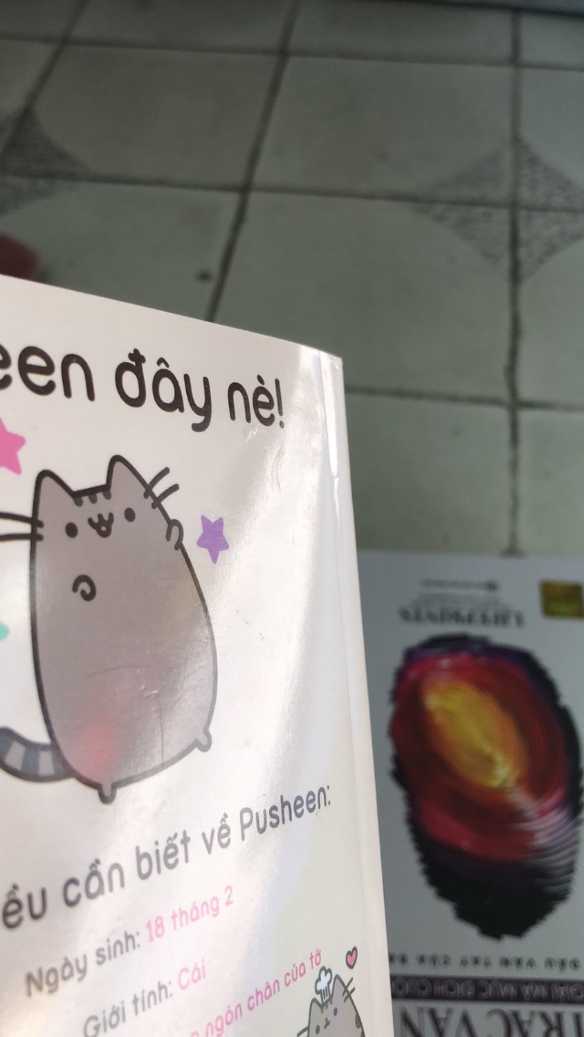 trước đây  mình cũng hay mua sách online trên Tiki vì tính tiện lợi, nhưng tình trạng sách khi nhận được có một số lỗi như giấy bị ố vàng, gáy sách bị dập, bìa bị dơ/ trầy..  nên lâu rồi mình không mua nữa. 
trong giai đoạn dịch bệnh như hiện nay mình mới sử dụng lại dịch vu của tiki, nhưng tình trạng trên vẫn không thay đổi. Tiki nên xem lại khâu đóng gói sách trước khi giao hàng để tránh sách bị cấn, dập gáy sách...vì khi khách hàng đặt sách ngoài nhu cầu để đọc thì còn để tặng nên việc nhận được sách với tình trạng như đề cập ở trên thì không thể tặng được, nhất là những cuốn có bìa cứng, in hình nổi như cuốn này. Kéo theo mất thời gian đổi trả cho cả khách hàng & tiki.