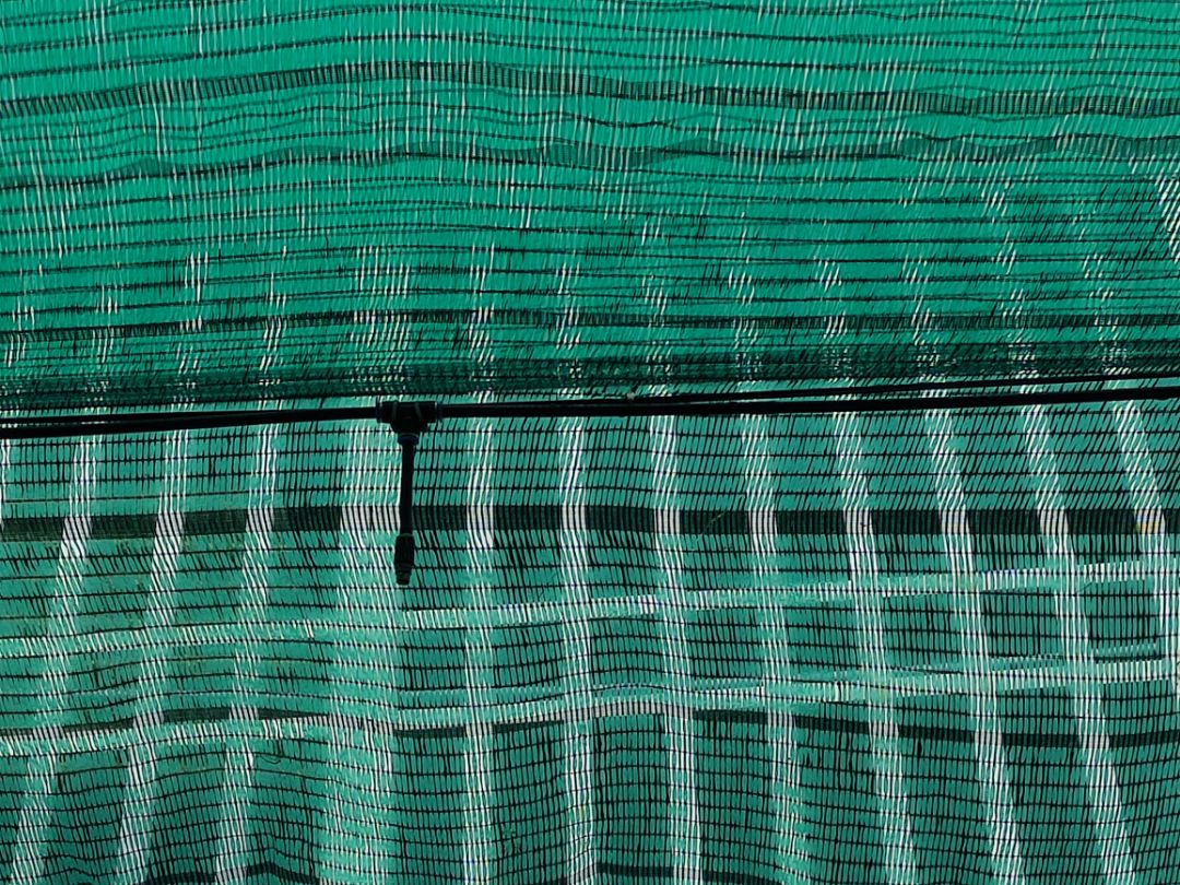 lắp vào vẫn bị rò nước.abc