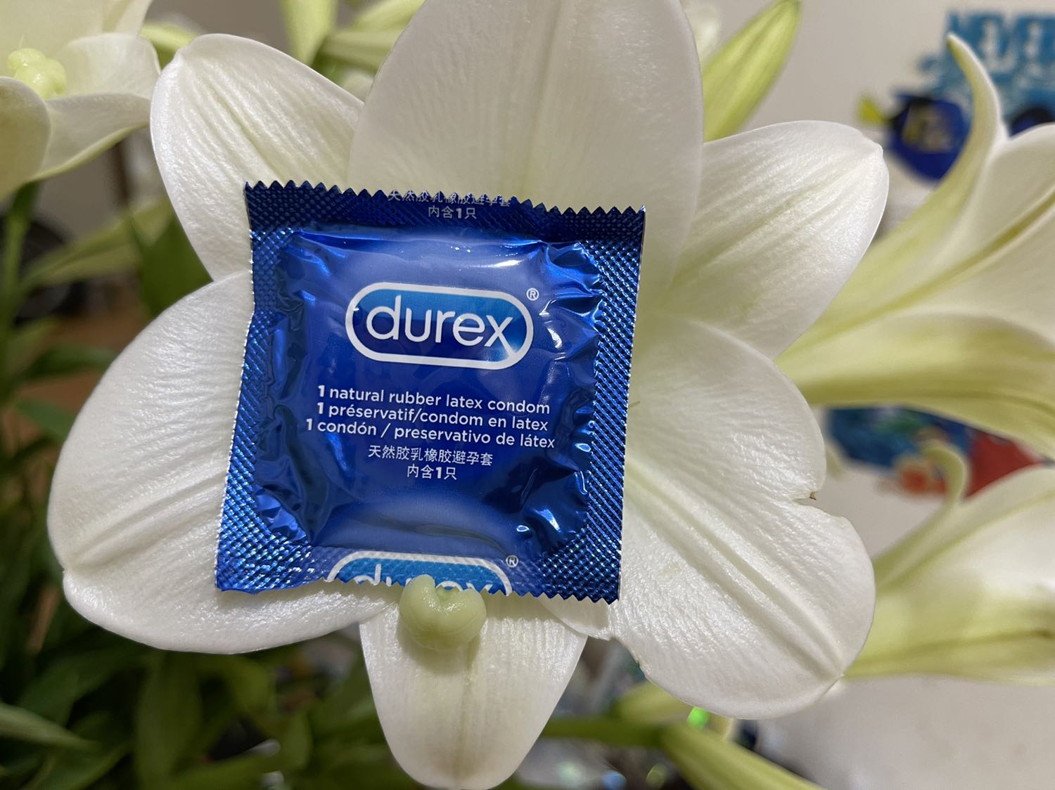 Biết rồi, khổ lắm cứ bắt đánh giá mãi Biết rồi, khổ lắm cứ bắt đánh giá mãi