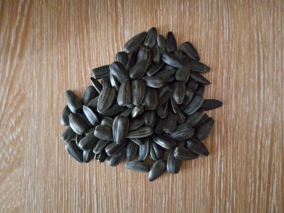 Shop uy tín. Giao hàng nhanh và chu đáo
Hạt hướng dương max ngon luôn ý, nên mọi người yên tâm mua dùng nhé