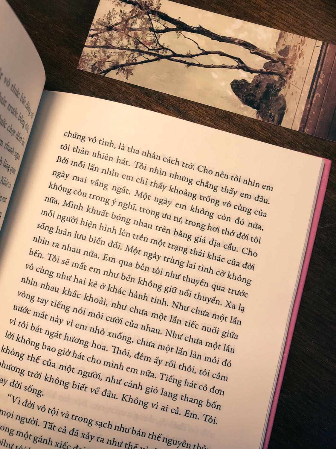Nhìn bìa hường phấn, tôi tưởng nội dung vui vẻ và nhận cái kết đắng..
Thật không ngờ, một tác phẩm được viết từ trước năm 1975 lại có thể lạ lùng đến như thế. Nó đậm đà, cá tính, sâu sắc đến không thể tưởng. Nhân vật chính trong đây là một người đàn bà từng trải đa sầu, đa cảm nên hay tự làm khổ lòng mình. Đẹp và buồn là 2 tính từ tôi nghĩ về người đàn bà này. Thật không quá khi nói tự bản thân người là một hạt giống u buồn, lại gặp những cuộc tình bạc bẽo nên hạt giống ấy càng dai dẳng bám rễ vào tâm hồn. Nghe người đàn bà trút từng dòng tâm sự não nề, tôi thật xót xa cho một kiếp người. Nhưng tôi tin sự mạnh mẽ cốt căn sẽ giúp người đi tiếp đến chân trời cuối cùng. Hình tôi chụp trên là một đoạn viết buồn nức nở, nó làm tôi ám ảnh không nguôi.