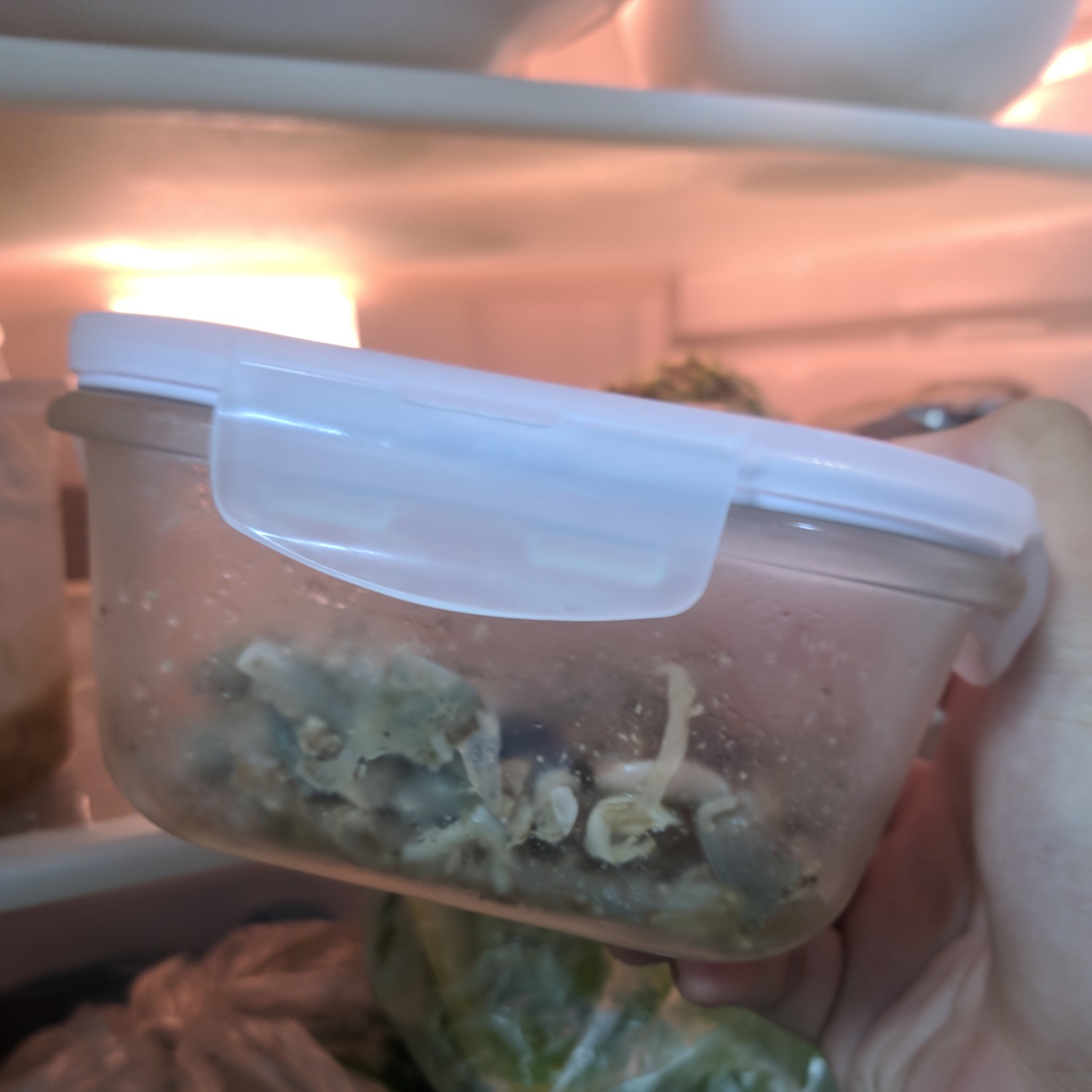 Hàng chuẩn, đáng với giá tiền. Nhân viên giao hàng vui vẻ, nhiệt tình