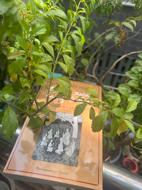 Nội dung cực hay, nhẹ nhàng mà thấm. Mượn cách kể về cuộc đời Đức Phật để đưa vào những triết lý quan trọng trong giáo lý Phật Giáo. Thầy kể về Phật ở góc độ một con người gần gũi, hiền từ hơn là một vị thần linh xa cách.