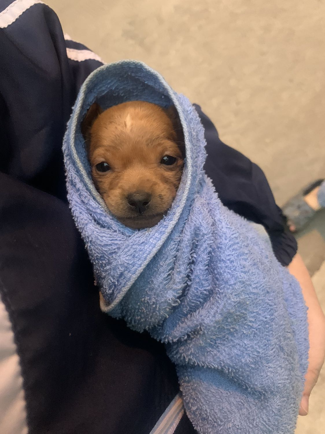 Đóng gói ổn định, còn về chi tiết thì chưa xem hihi. Ảnh mang tính chất k biết j haha