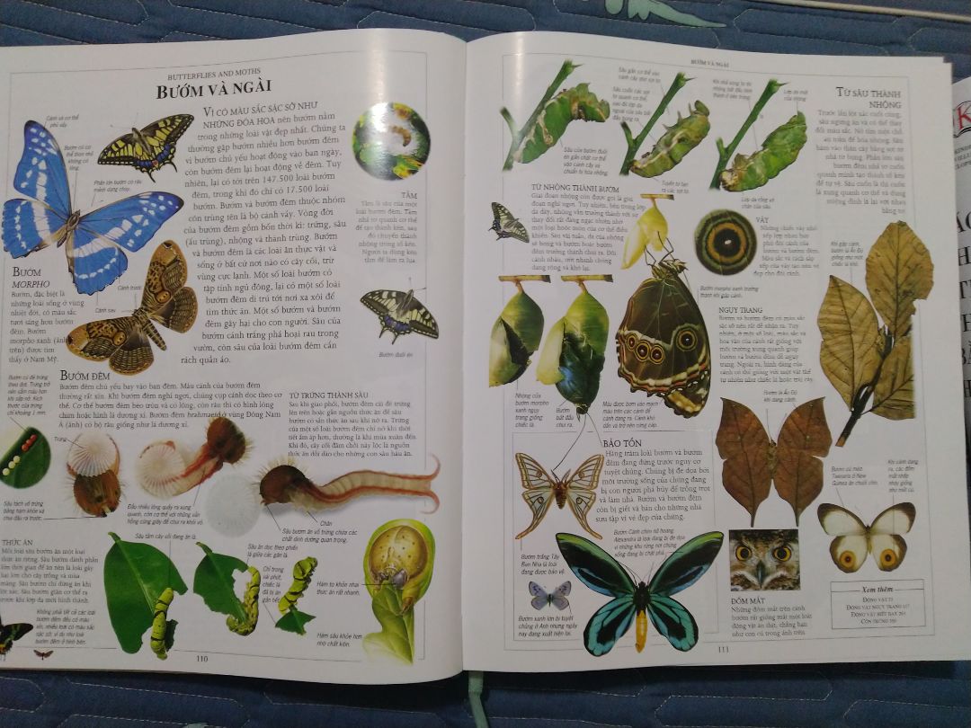 nội dung sách nhiều. hình thức sách đẹp lắm. trong kiện hàng cho lót một đống cotton chống sốc