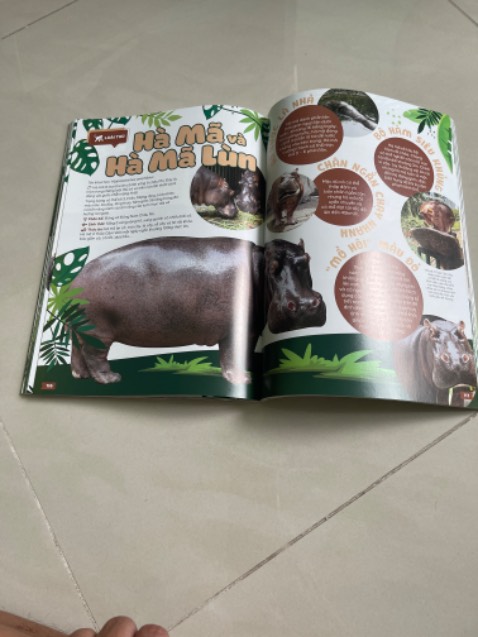 Sách đẹp, hình ảnh phong phú, rất bổ ích cho trẻ