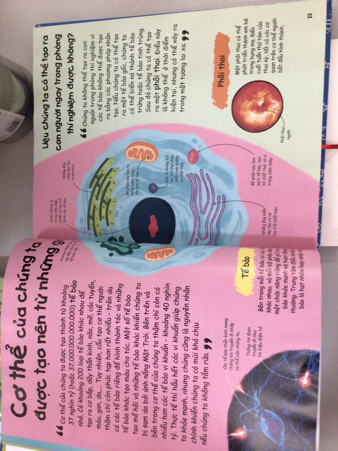 Sách có nhiều câu hỏi hóc búa mà nhiều khi ba mẹ không biết cách giải thích cho con. Là một cuốn sách rất hữu ích giúp các con giải đáp các câu hỏi trong tự nhiên... Cuốn này mình thấy có nhiều lần giảm giá 60% đợt sinh nhật và hội sách tháng 3.