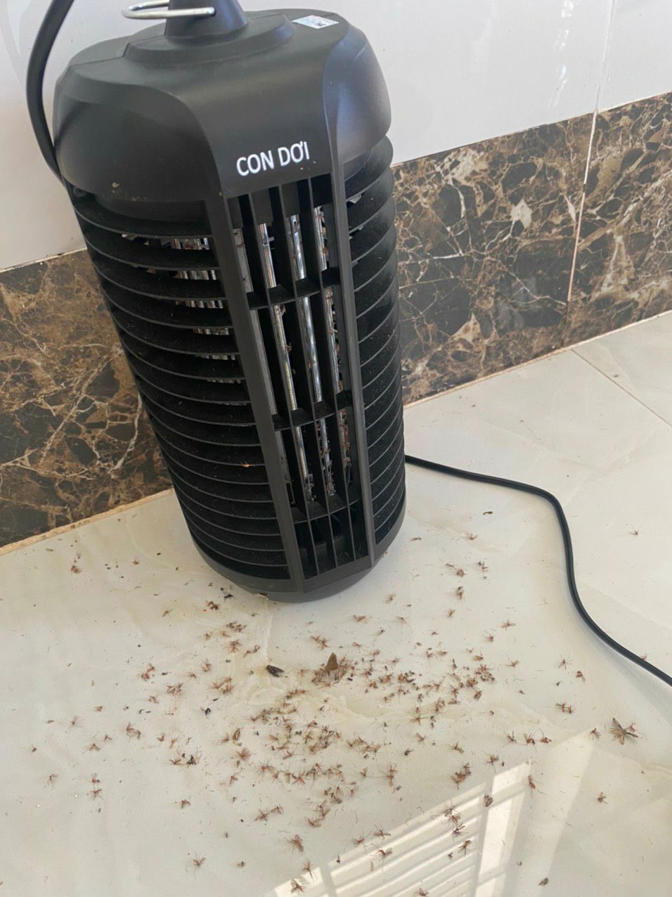 đèn không quá lớn nhưng hiệu quả cực, 10 điểm cho sp, mỗi khi diệt muỗi nó nổ tách tách. đèn con dơi hoạt động ổn định.