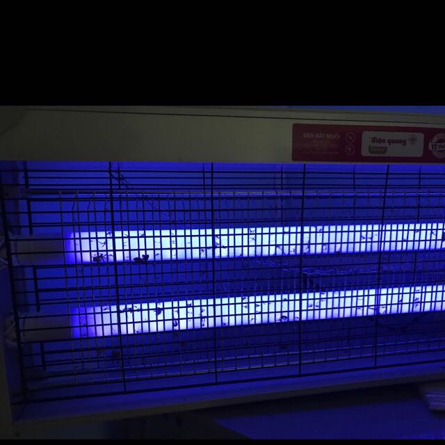 Đèn bình thường, không thu hút được nhiều muỗi. Để trong bóng tối chỉ bắt được ít con. Nhưng bị dính thằn lằn thì nhiều.