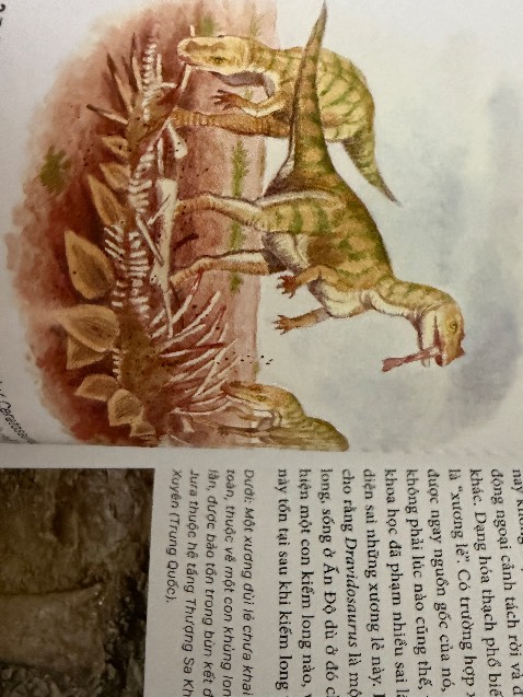 Sách rất tuyệt. Có cả bìa bánh mì nên giữ sách mới được khá lâu. Sách rất nhiều chữ, có hình ảnh nhưng chữ hơi nhiều, nên cân nhắc khi mua cho bé nhỏ tuổi, khoảng tầm  11, 12 tuổi thì mới nên mua. Sách có vài hình khá nhạy cảm như máu, thịt nên bé tâm lí yếu thì đừng mua. Đọc rất hay, nhiều thông tin và nhiều loài khủng long nhưng còn vài lỗi sai do sách xuất bản năm 2000s, thấy tái bản nhiều lần nhưng chưa sửa lỗi. Nói chung là đọc hay, nhiều loài khủng long và nên mua cho bé thích khủng long nhưng có vài lỗi sai và vài hình ảnh hơi nhạy cảm, hơi nhiều chữ, nên mua cho bé từ 10-13 tuổi là hợp lí.