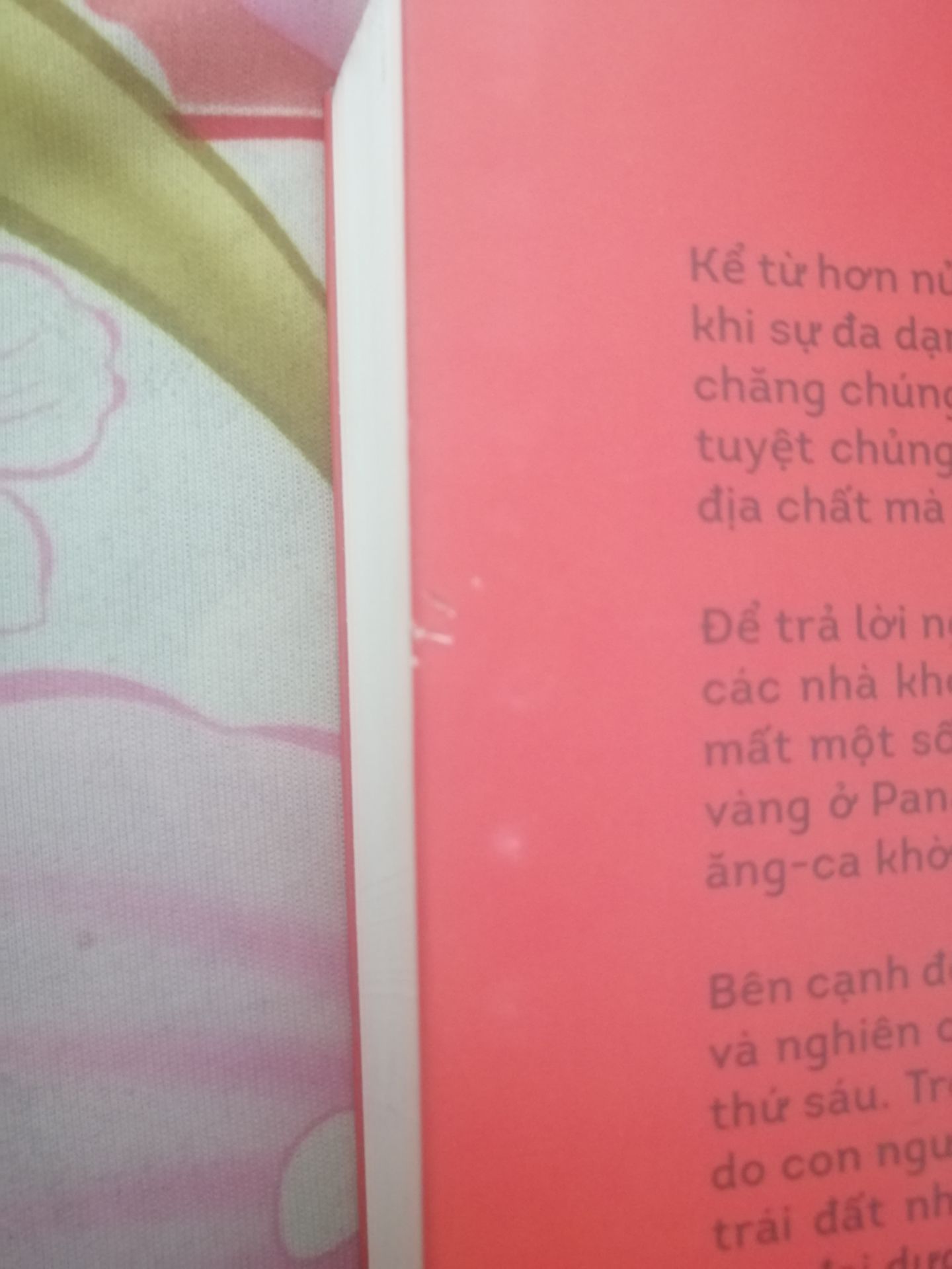 Xét về tổng quang thì khá oke la nhưng mà một số điểm là sách hơi bẩn do cất không kỹ chứ chắc không phải cũ kỷ gì vì mùi giấy khá mới, khâu bảo quản và đóng gói có hơi sơ sài vì bị xước 2 đường rạch như hình cần cải thiện, tóm lại là ok!