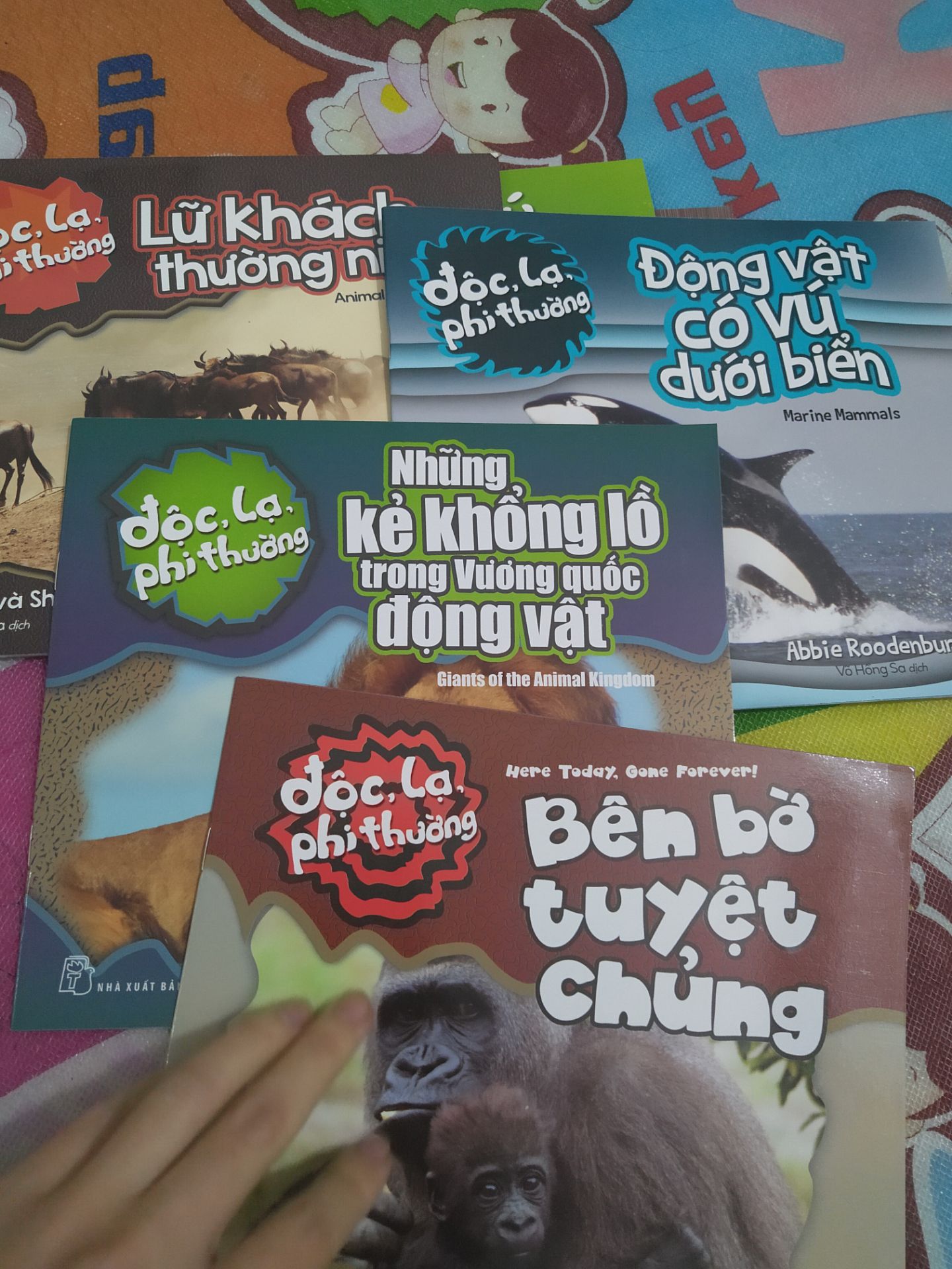 bé nhà mình thích lắm. suốt ngày bắt mẹ cho xem. mình mua cả combo luôn. tha hồ xem nhé. tiki giao hàng nhanh, đóng gói cẩn thận.