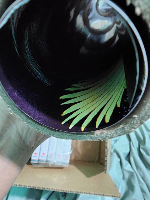 Cảm ơn shop vô cùng,giao vừa nhanh,₫óng gói đẹp, đúng giá truyện 👍