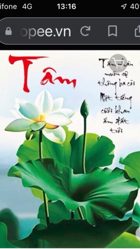 Kiểu dáng đẹp. Giao hàng đúng mẫu.
- Tặng bạn 5 sao. Kiểu dáng đẹp. Giao hàng đúng mẫu.
- Tặng bạn 5 sao.