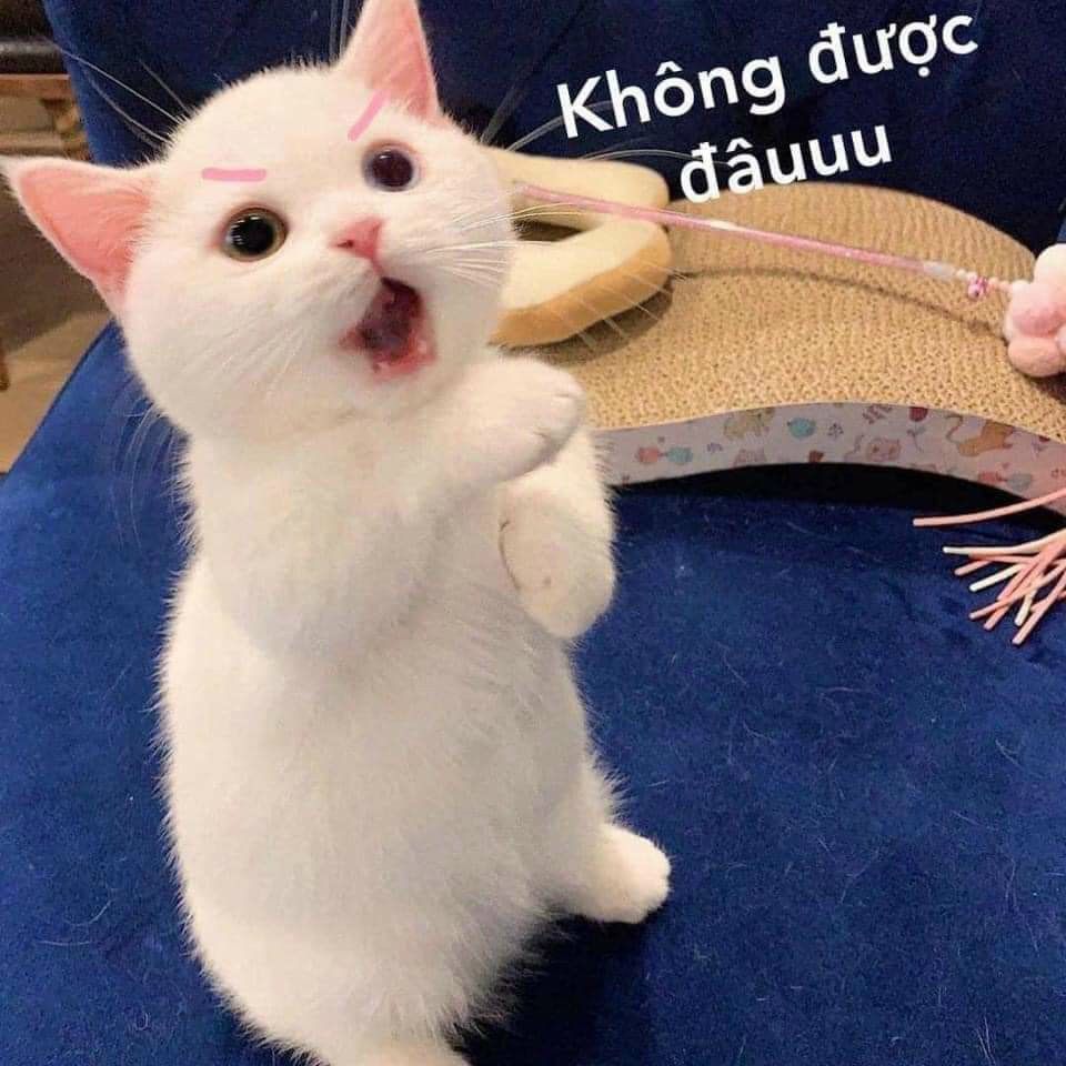 combo này giao sai nhé. combo toàn đồ nướng mà thay thế bằng 1 gói bún bó huế